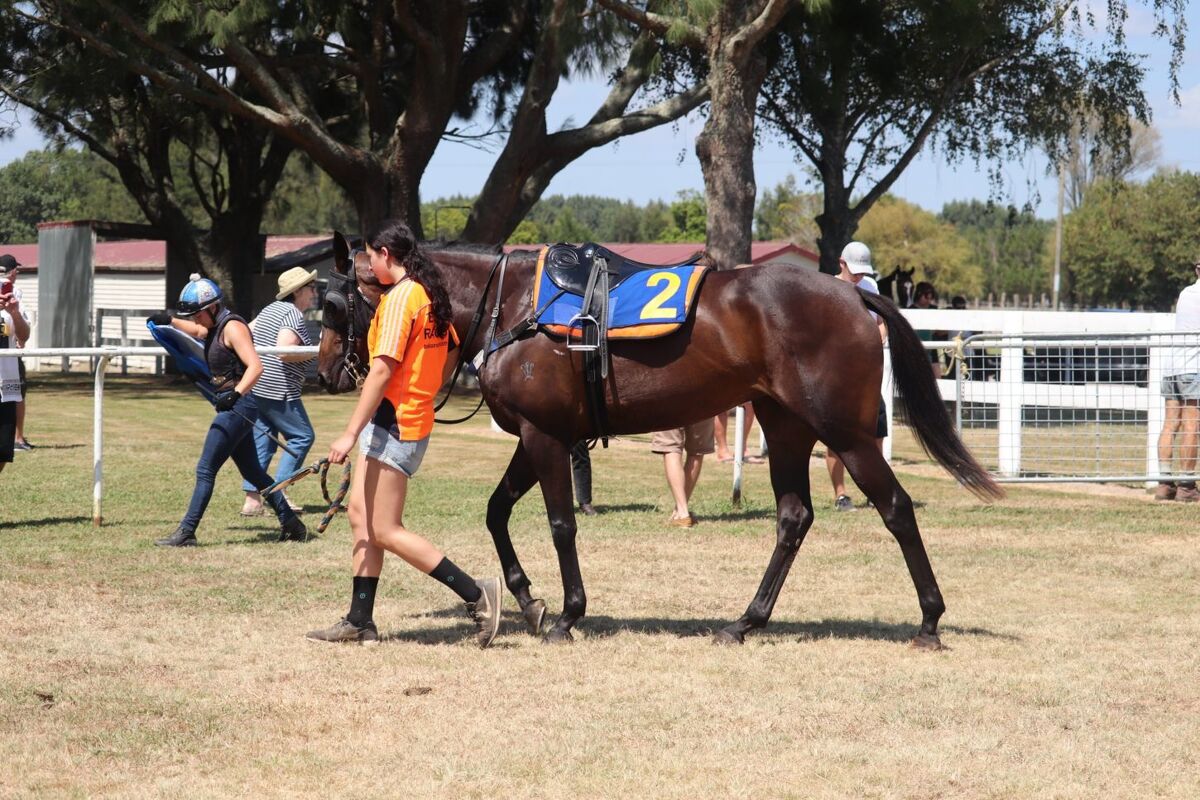 Te Akau Te Aroha Trials' Report