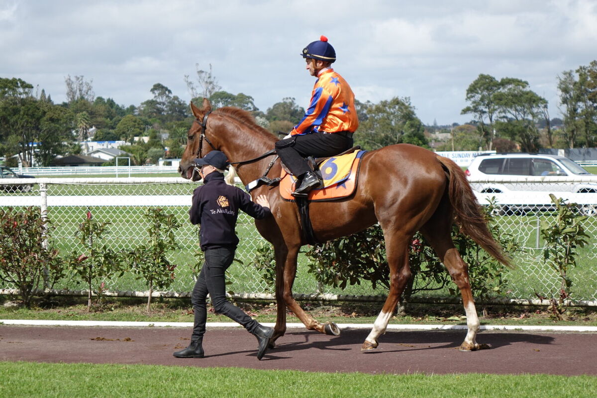 Te Akau Avondale Trials' Report