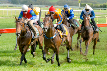 Te Akau Waipa Trials' Report