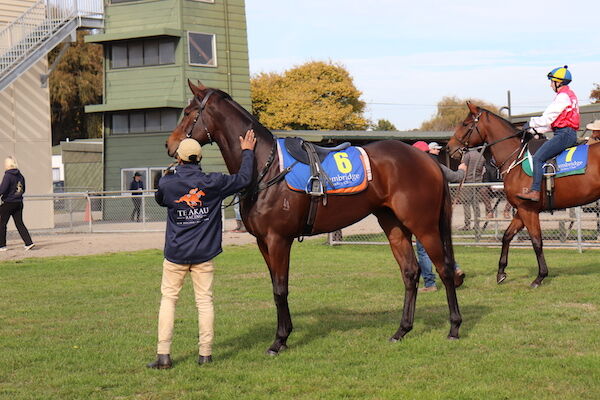 Te Akau Cambridge Trials' Report