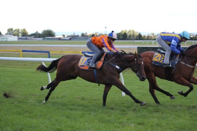 Te Akau Rotorua Trials' Report