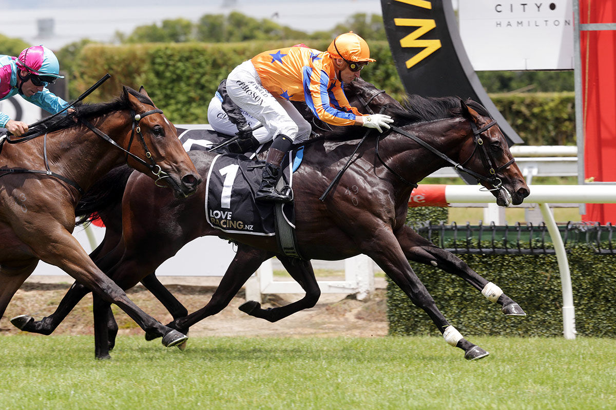 Te Akau Te Rapa Saturday Preview