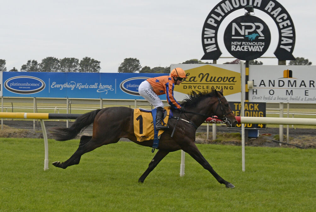 Tananaki Double - Trobriand Terrific on Debut