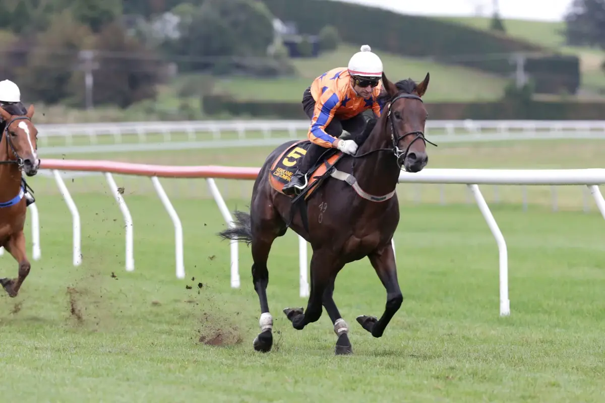 Trobriand Thriving Ahead of Grp 1 Sires