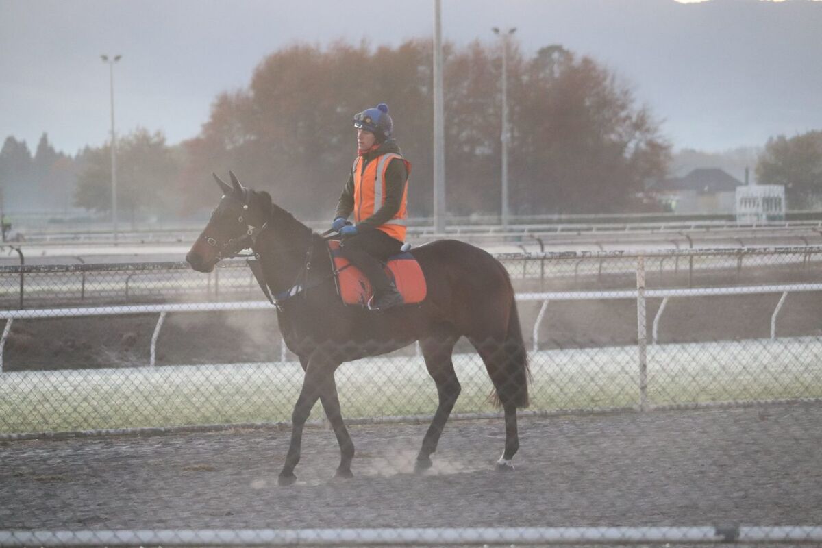 Te Akau Tuesday Trackwork