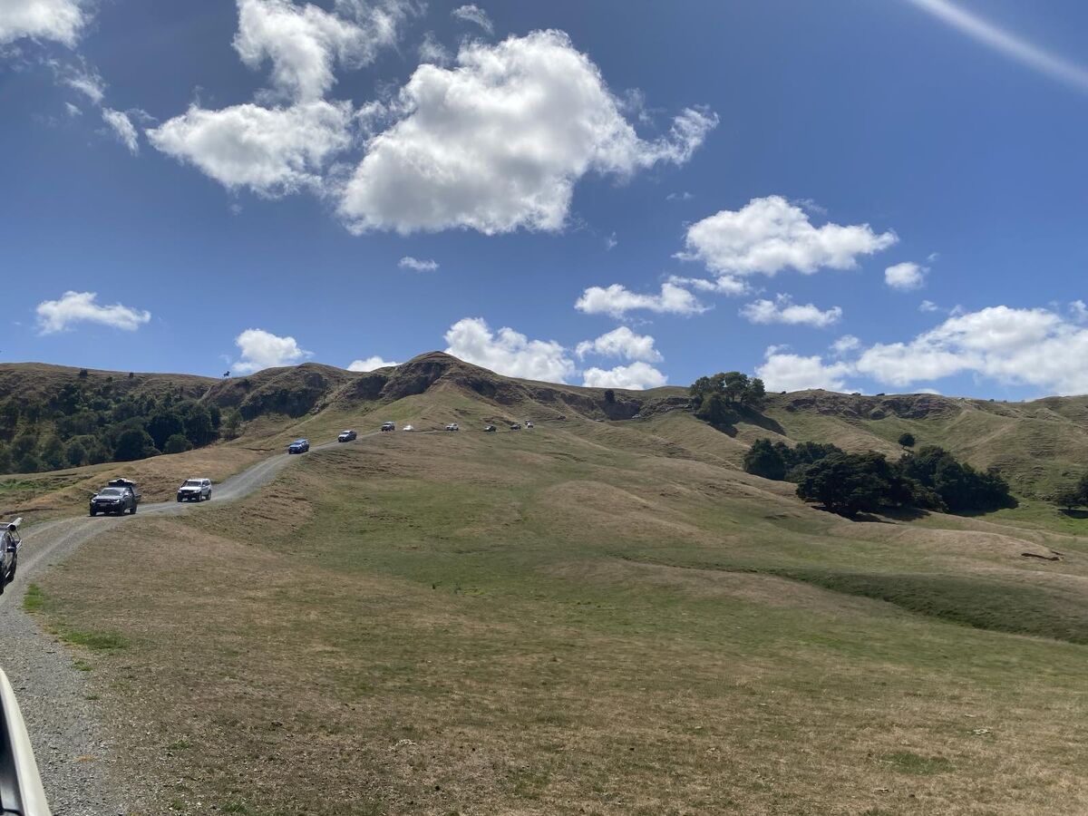 Te Akau Thursday Update