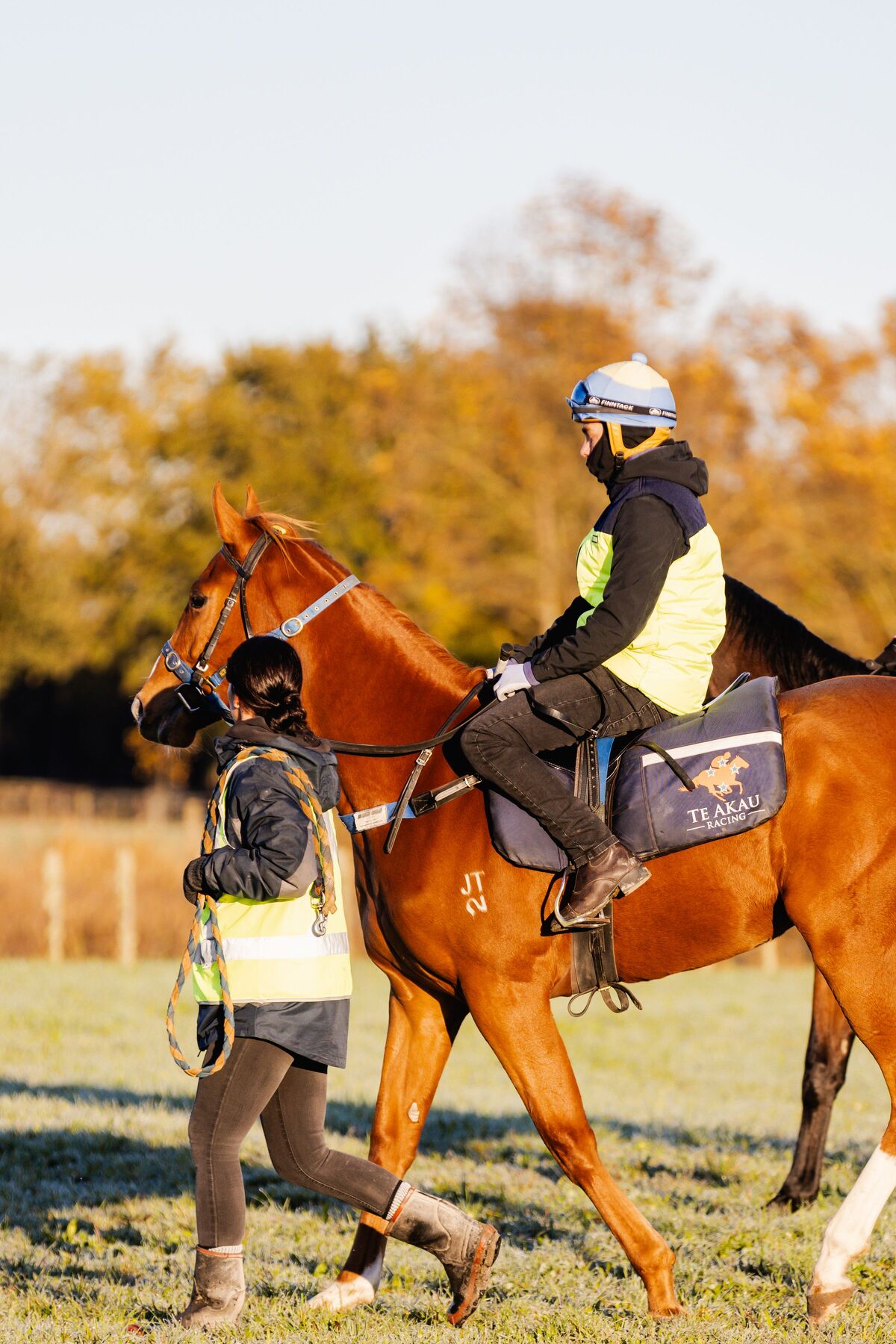 Te Akau Thursday Trackwork
