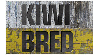 Kiwi Bred David Ellis