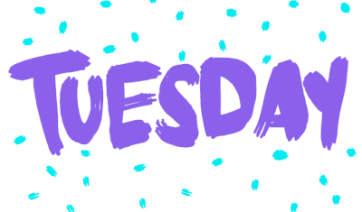 Te Akau Tuesday Update