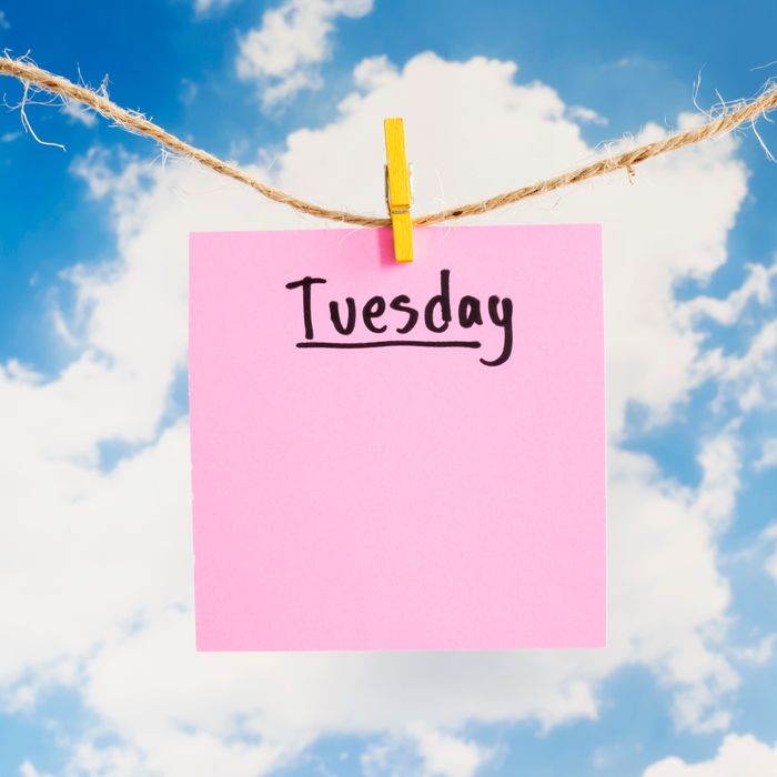 Te Akau Tuesday Update
