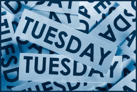 Te Akau Tuesday Update