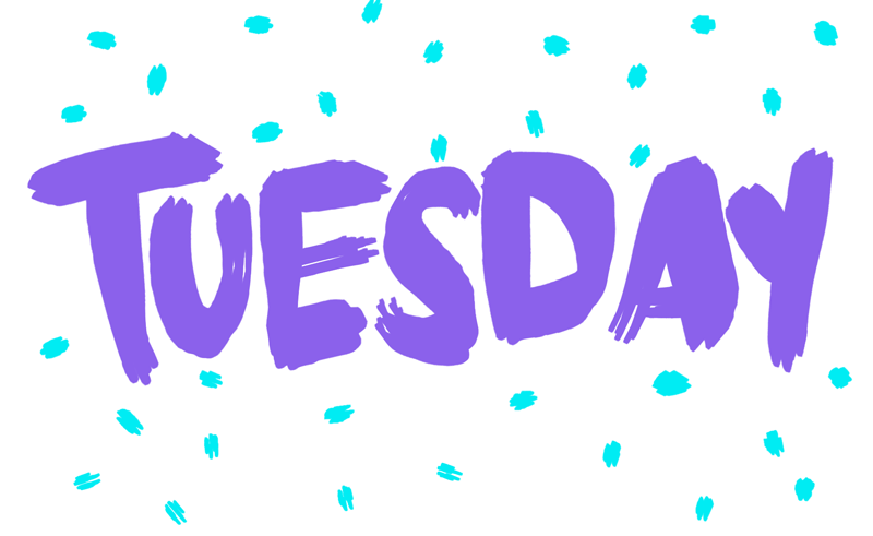 Te Akau Tuesday Update