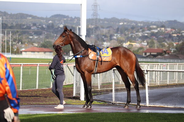 Te Akau Avondale Trials' Report