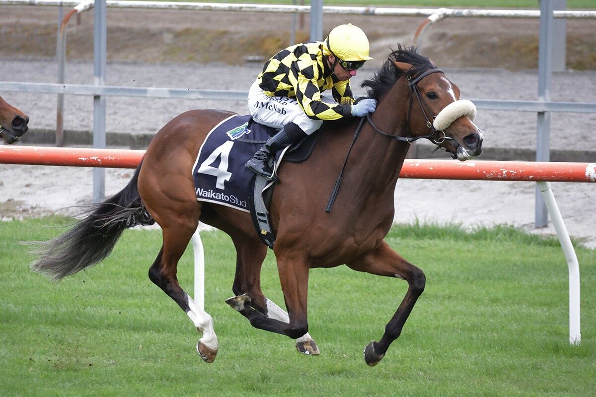 WINNER: Home Track Treble - Typhoon Too Good