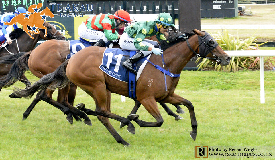 Te Akau Te Rapa Trials' Report