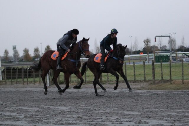 Te Akau Tuesday Trackwork