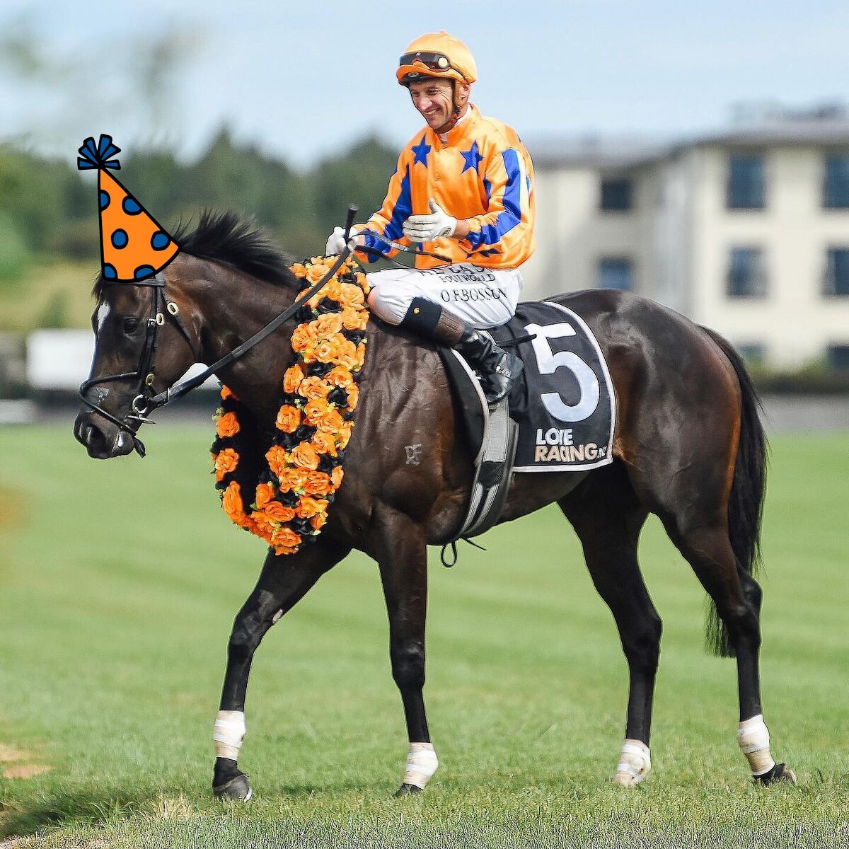 Happy Birthday To Our Equine Friends!