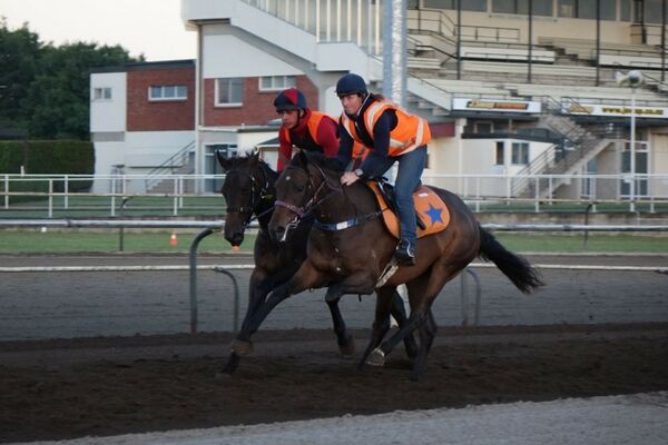 Te Akau Tuesday Trackwork