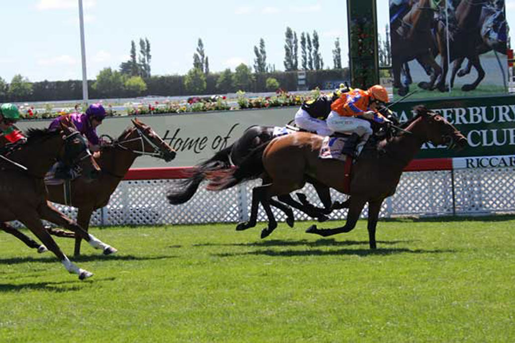 Te Akau: Te Akau NZ Ashburton Preview