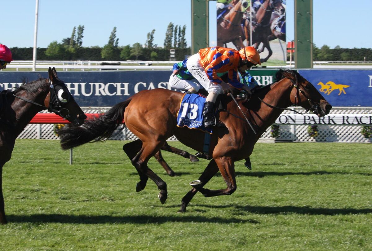 Another Te Akau NZ Stakes' Win