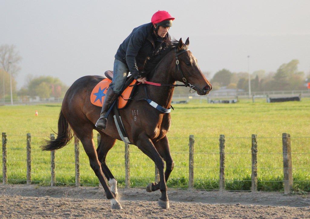 Te Akau Midweek Trackwork