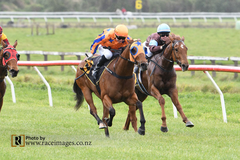 Te Akau Tauherenikau Sunday Preview