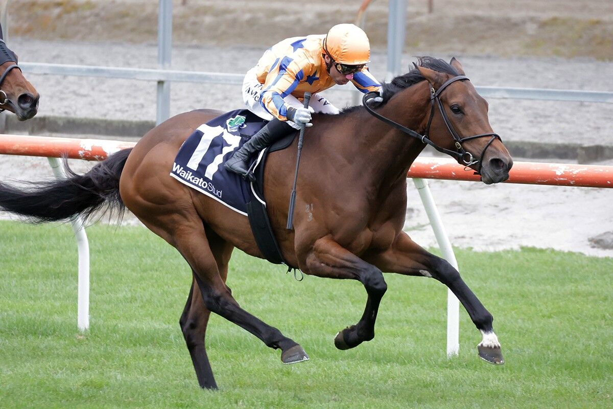 WINNER: Home Track Treble - Vintage Debut