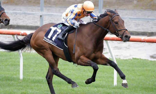 WINNER: Home Track Treble - Vintage Debut
