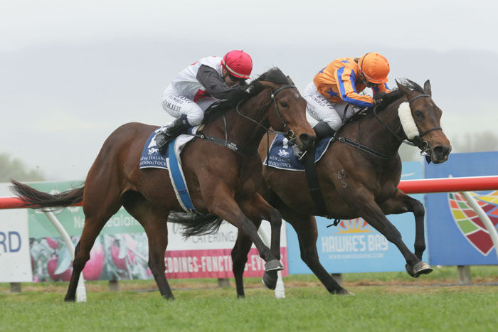 Class Fillies in Gold Trail Thriller