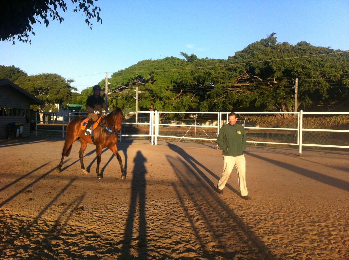 Te Akau Saturday Trackwork