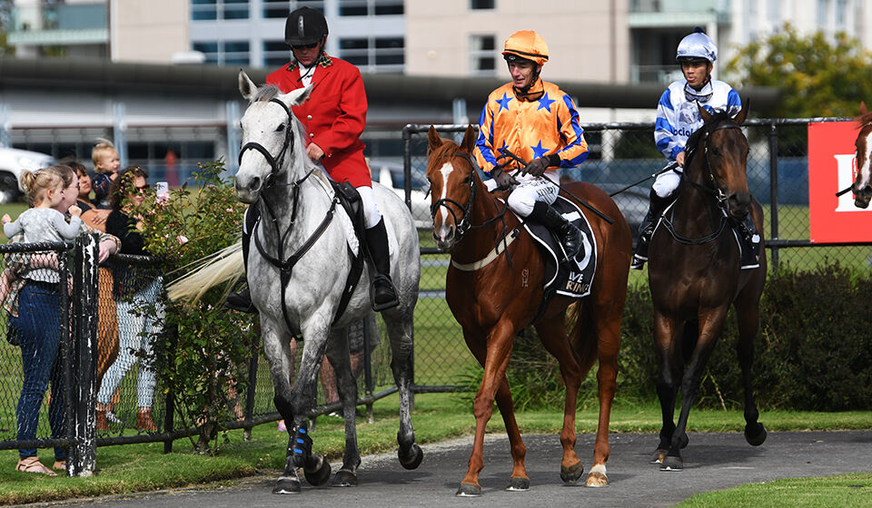 Te Akau Youngsters Ready for Stakes' Challenge