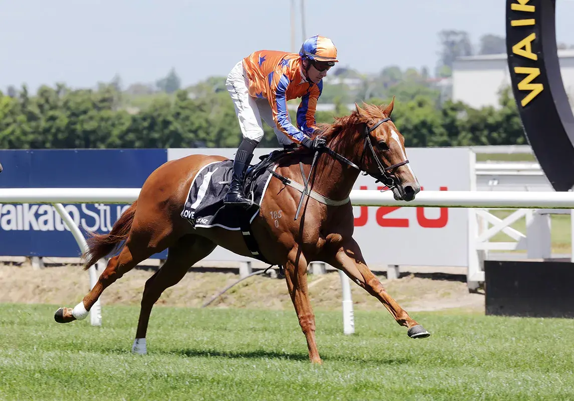 Te Akau Strikes Early in Southern Filly Series