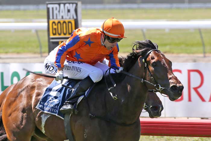 Filly to Take Flight
