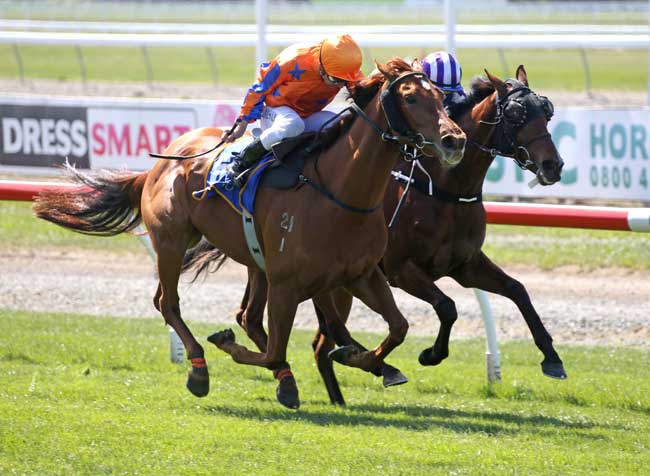 Te Akau Win 4 of 5 - Delightful Difference