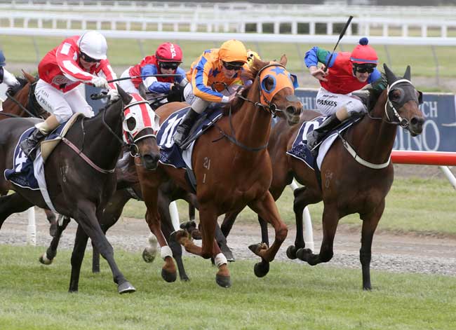 Riccarton - 4 Wins - Wow