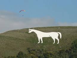 Te Akau Waimate Preview