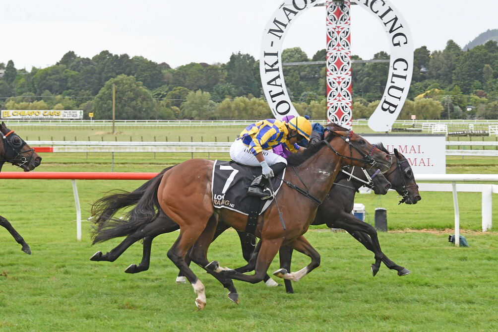 8 Win Saturday - Wairau Cove the Warrior
