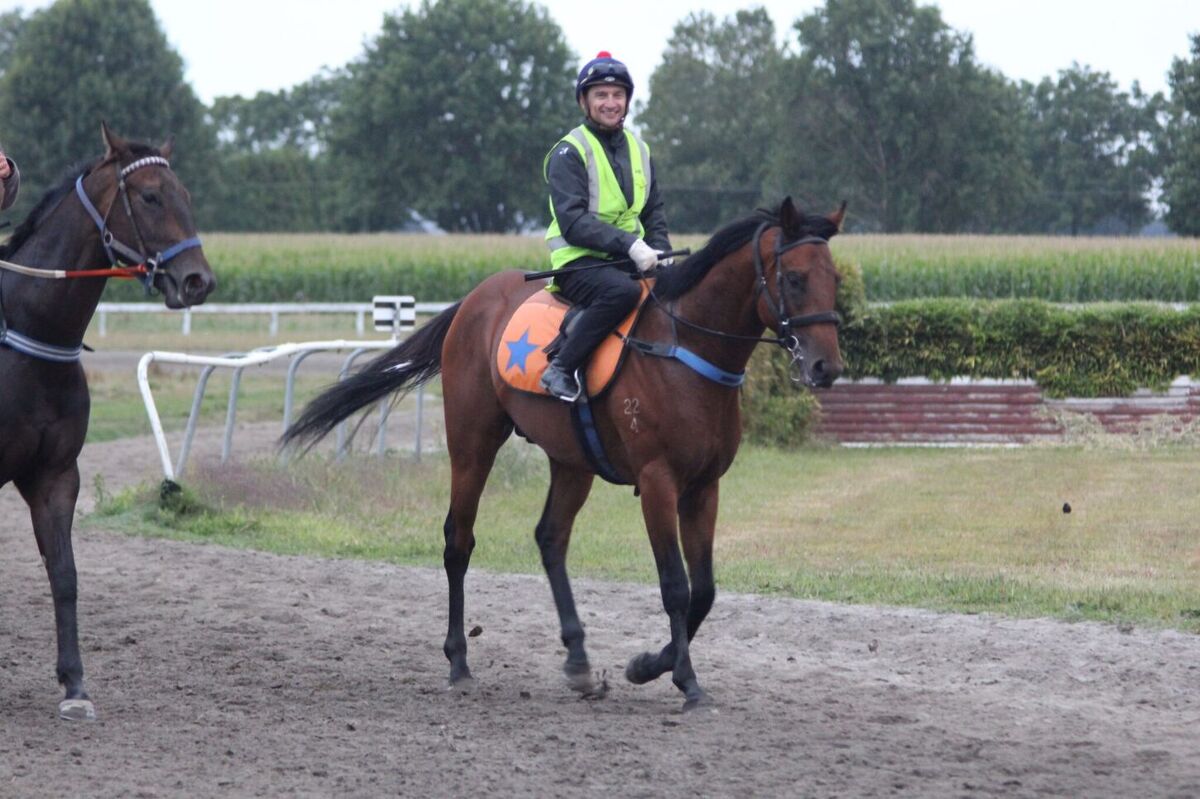 Te Akau Avondale Preview