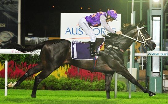 Another David Ellis Group 1 Purchase