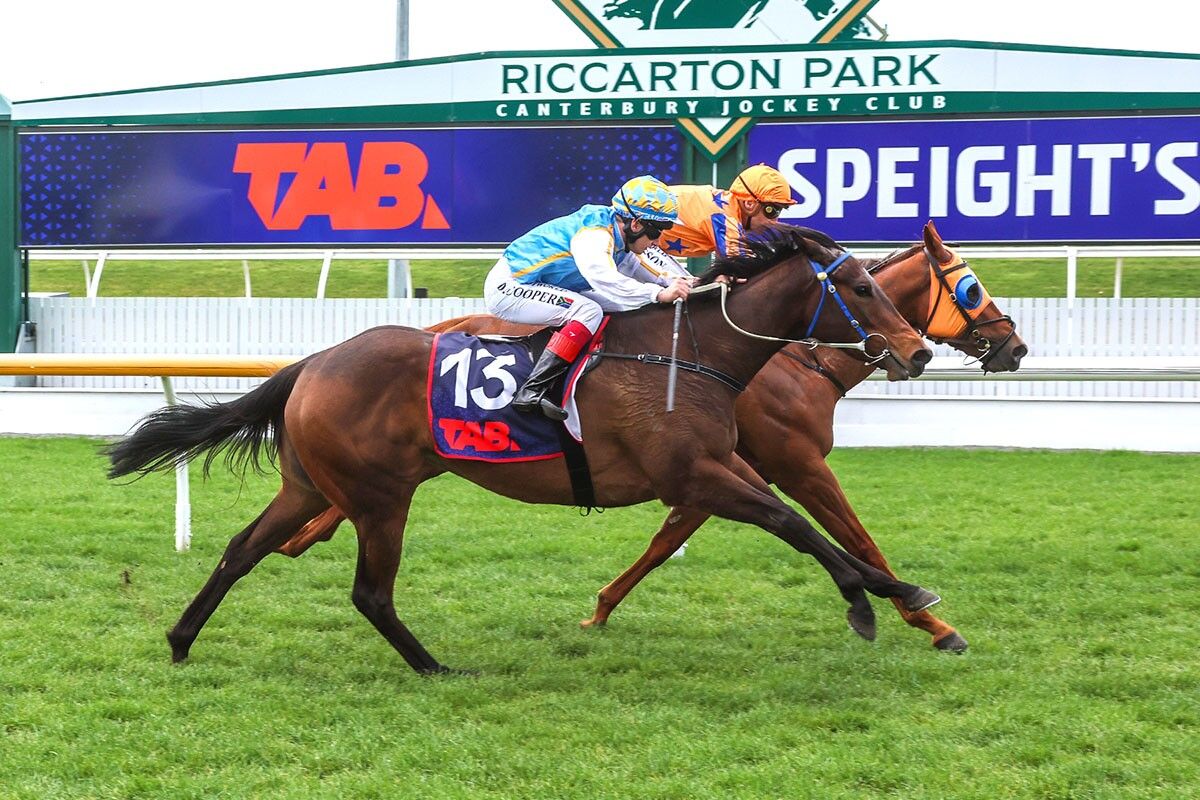 3 Win Saturday - War of Silence Superb
