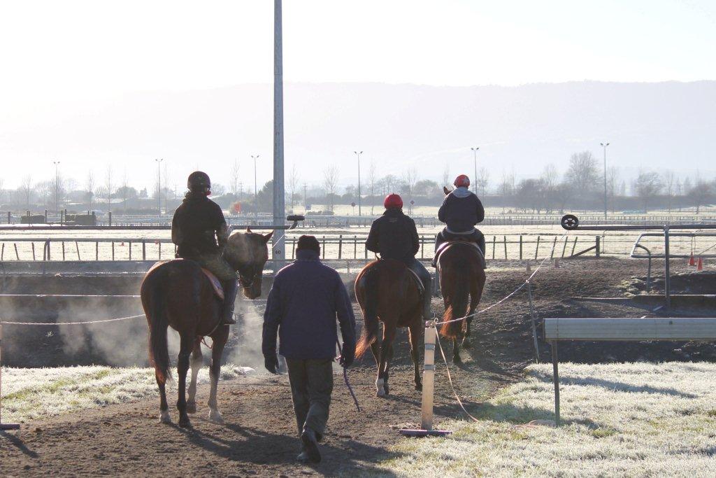 Te Akau Tuesday Trackwork