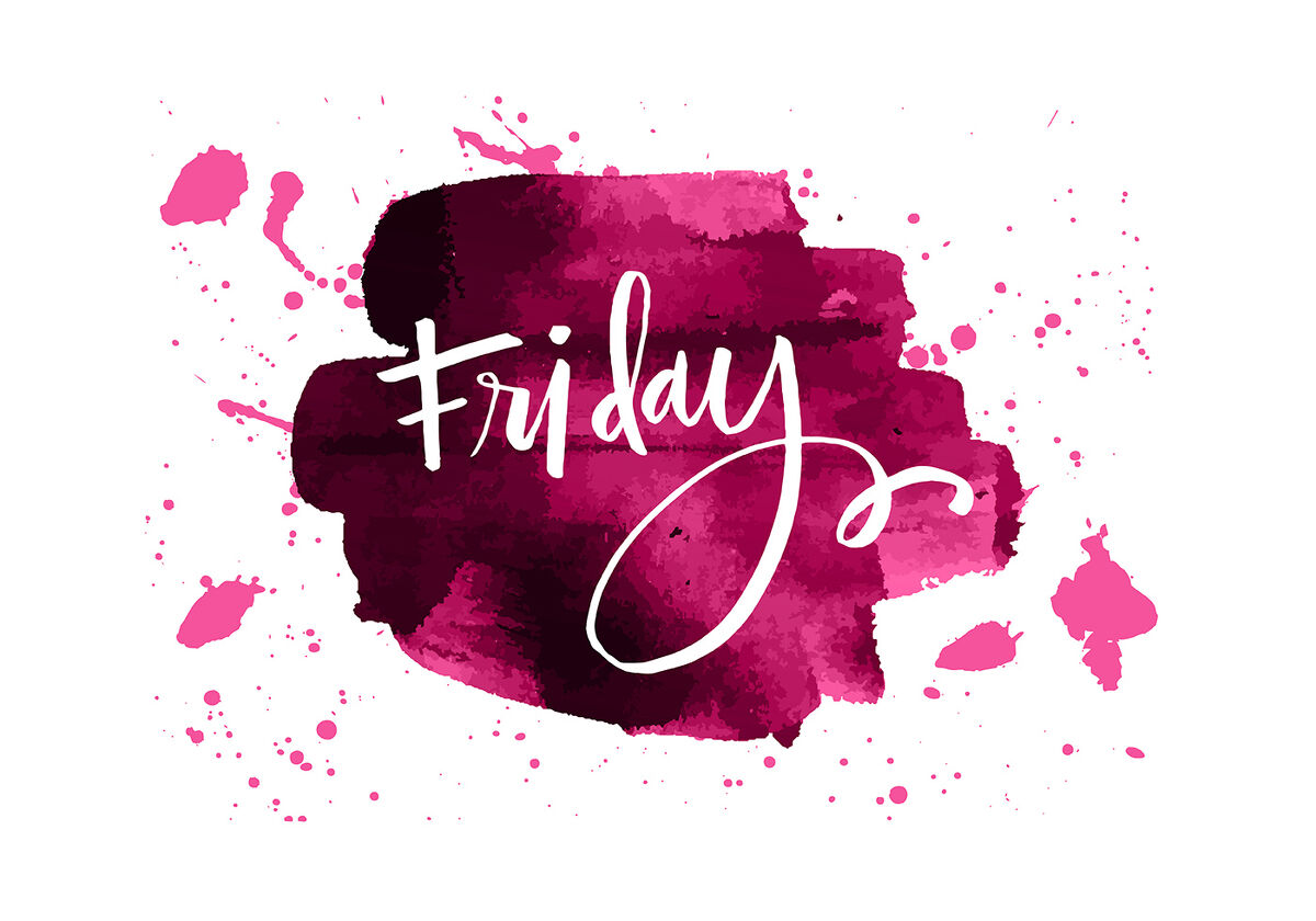Te Akau Friday Update