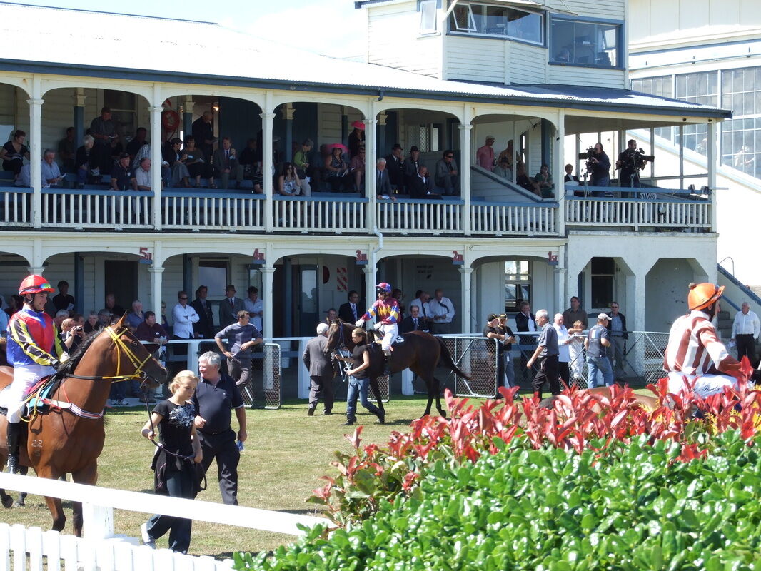 Te Akau Waverley Preview