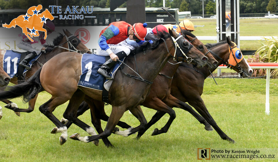 Two Te Akau Wins at Rotorua