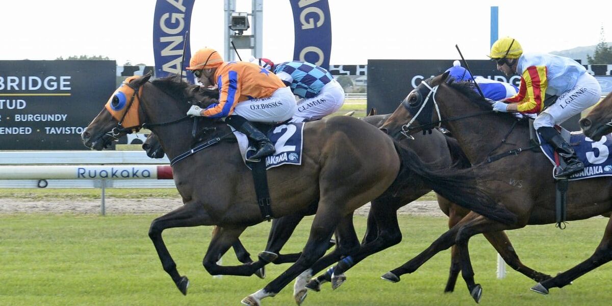 Te Akau Ruakaka Saturday Preview