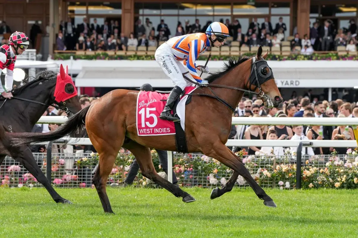 Te Akau Duo Targets VRC St Leger Day