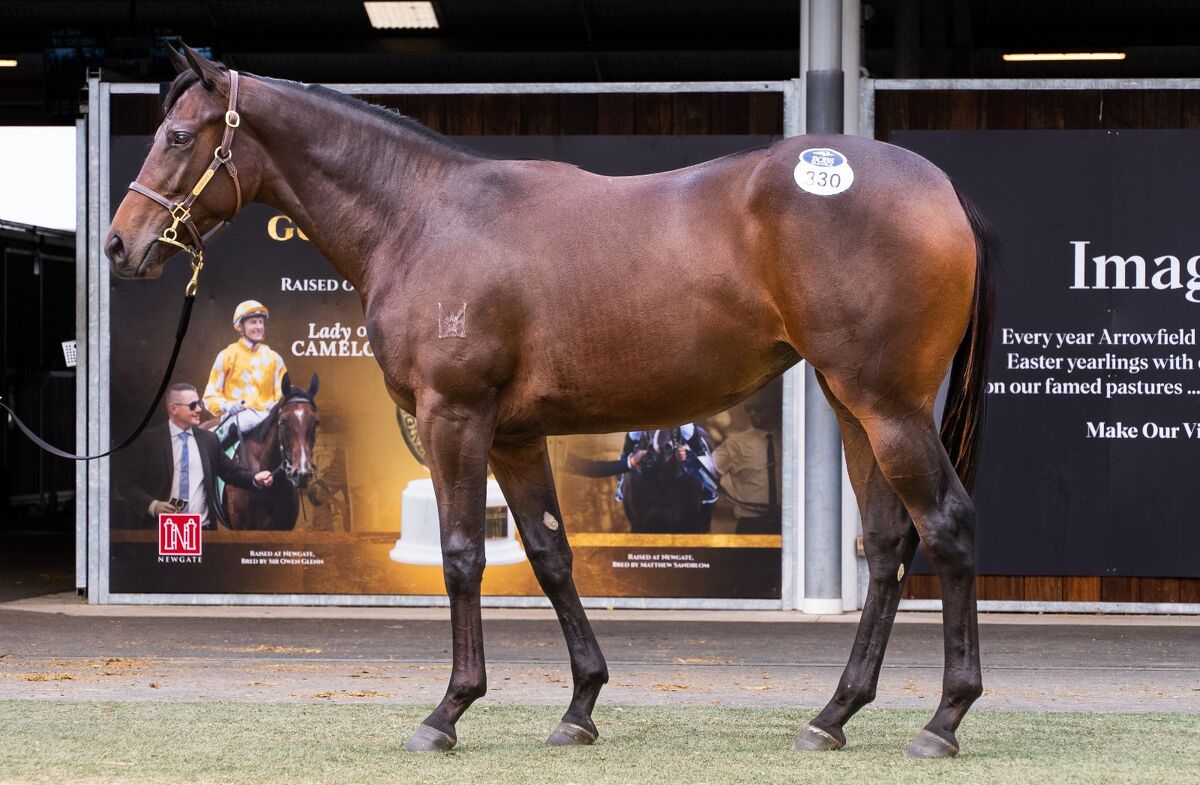 Fastnet Rock Filly Set To Sell Fast