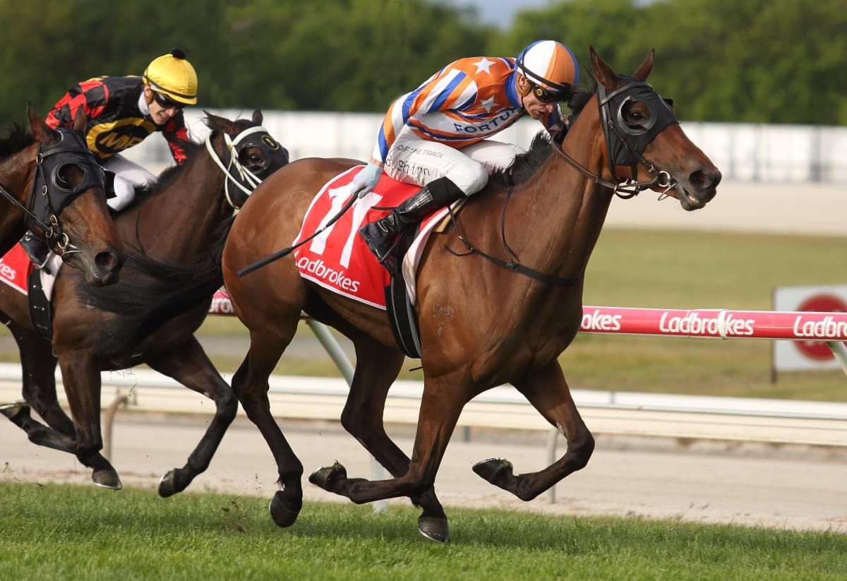 Paramour Cranbourne Perfect