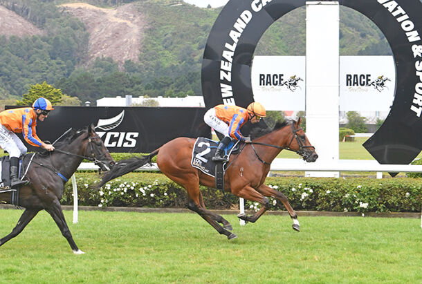 Te Akau Matamata Sunday Preview