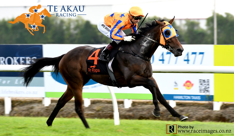Te Akau Woodville Preview